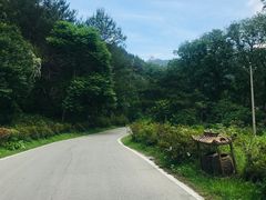 -木兰云雾山