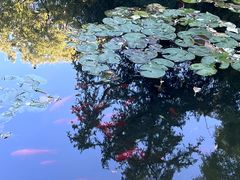 -香山公园-东宫门售票处