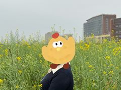 -光明小镇欢乐田园