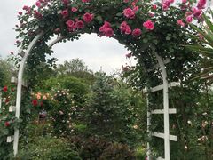 -三圣花乡旅游区