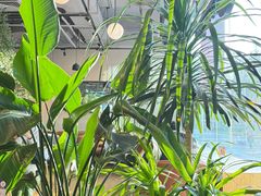 -Wagas沃歌斯(环贸店)