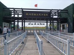 -杭州湾海上花田景区