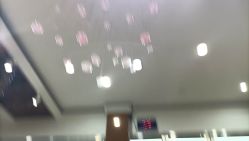 -环球蝶上美业连锁