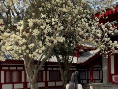 -大慈恩寺(大雁塔)