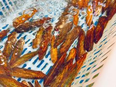 -卖鱼珍河鲜坊•一线江景园林餐厅