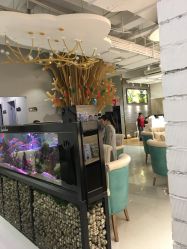 点击看大图 -可爱多国际儿童摄影会馆(龙泉店)