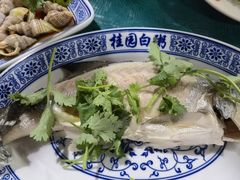 -桂园白粥·潮汕老味道