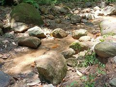 -火炉山森林公园
