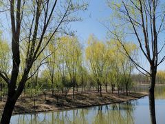 -东郊湿地公园