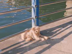 -池州市平天湖风景区