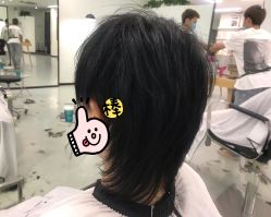-T8 SALON