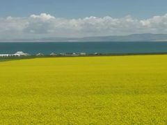 -青海湖国家重点风景名胜区