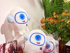 -大视光学•LINDBERG林德伯格•全球手工眼镜集合店(王府井店)