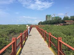 -北海金海湾红树林生态旅游区