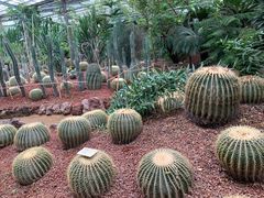 -呀路古热带植物园