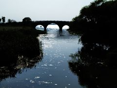-莲花岛景区