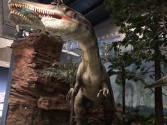 -湖南省地质博物馆