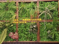 -彩虹之约•淮扬家宴(亚运村店)