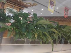 -大清花饺子(山庄店)