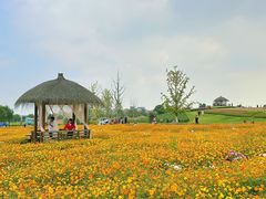 -径山花海