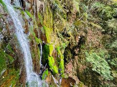 -藏龙百瀑风景区