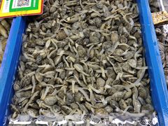 -陇南批发市场