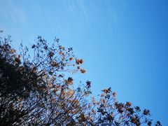 -江南大学(蠡湖校区)
