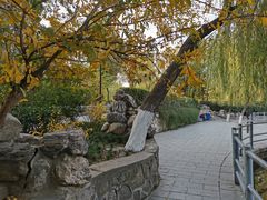 -莲湖公园