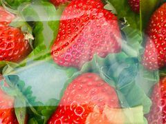 -锦绣大地生鲜食品厅