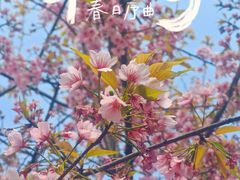 -堤角公园