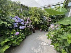 -小时光咖啡馆(北锣鼓巷店)