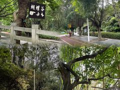 -水濂山森林公园