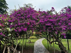 -中国科学院西双版纳热带植物园
