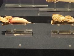 -陕西历史博物馆