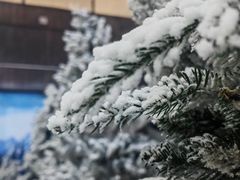 -世界之窗阿尔卑斯冰雪世界
