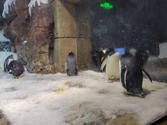 -波塞冬旅游度假区