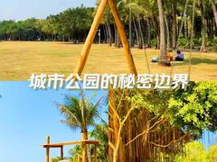 -欢乐海岸椰林沙滩-2025湾区超级灯会