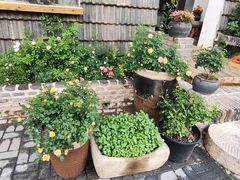 -瓦库茶馆17号(海汇港店)