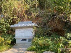 -东湖落雁景区