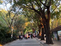 -深圳野生动物园