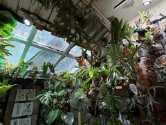 -大水的店(昙华林店)