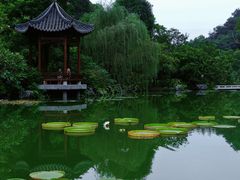 -云溪植物园