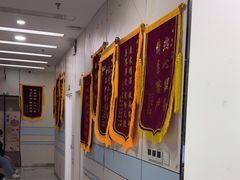 -中农国际动物医院24小时·猫科·骨科·急重症中心
