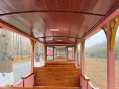 -黄海国家森林公园