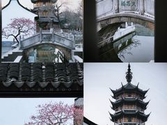 -青果巷历史文化街区