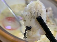 -全乐鱼馆·淳牌有机鱼直营店