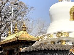 -护国法轮寺