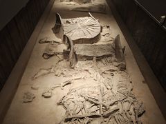 -北京大葆台遗址博物馆