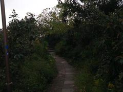 -杭州半山国家森林公园