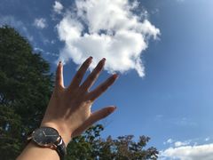 -金泽21世纪美术馆